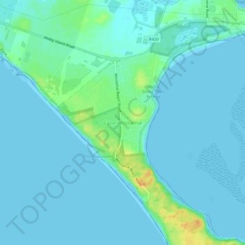 Mapa topográfico Cape Woolamai, altitud, relieve