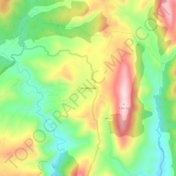 Mapa topográfico Las Bellostas, altitud, relieve