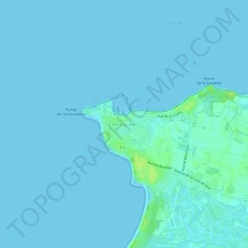 Mapa topográfico L'Herbaudière, altitud, relieve