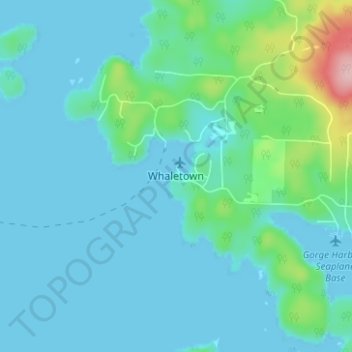 Mapa topográfico Whaletown, altitud, relieve