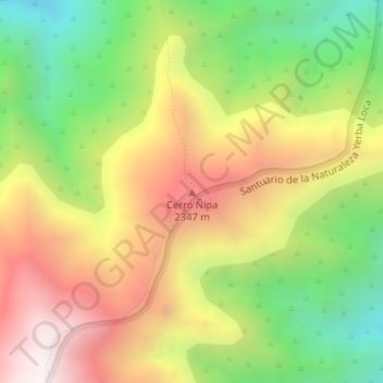 Mapa topográfico Cerro Ñipa, altitud, relieve