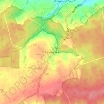 Mapa topográfico Seloignes, altitud, relieve