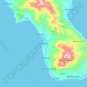 Mapa topográfico Pintuyan, altitud, relieve