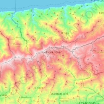 Mapa topográfico Colonia Tovar, altitud, relieve