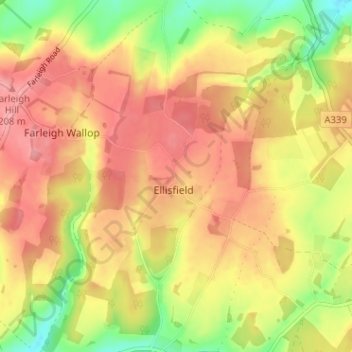 Mapa topográfico Ellisfield Green, altitud, relieve