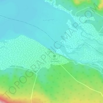 Mapa topográfico Dhikala, altitud, relieve