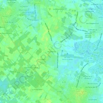 Mapa topográfico Bois Fleury, altitud, relieve