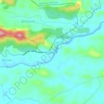 Mapa topográfico Panjikkal, altitud, relieve
