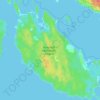 Mapa topográfico Большой Берёзовый остров, altitud, relieve