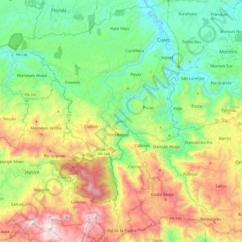 Mapa topográfico Ciales, altitud, relieve